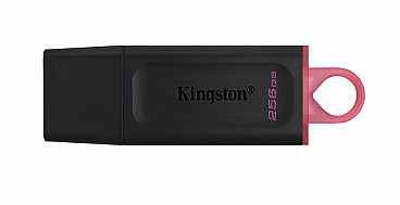 USB 3.2 Флеш-накопитель Kingston 256 Гб DataTraveler Exodia (DTX/256GB)