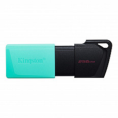 USB 3.2 Флеш-накопитель Kingston 256 Гб DataTraveler Exodia M (DTXM/256GB)